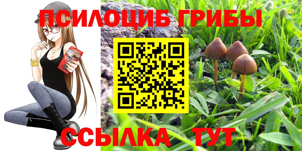 Ирбит  Псилоцибиновые грибы MAGIC MUSHROOMS  Галлюциногенные грибы Psilocybine cubensis  Вход с VPN 